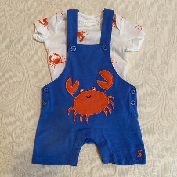 Joules 2 piece onesie tshirt & overalls with crab 🦀  design Size 3-6M - Picture 14 of 16